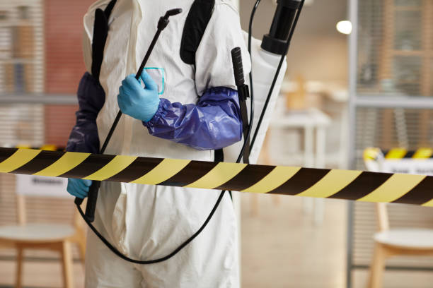 Professional Sewage Cleanup technician working in Grandview, MO